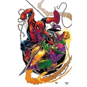 O Espetacular Homem-Aranha Vol. 29 / 73 - 1