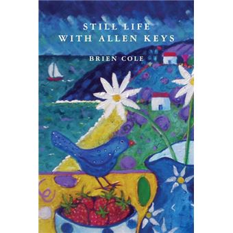 still Life With Allen Keys Paperback - - 1