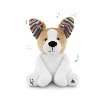 Cão Danny ZAZU - Branco/Castanho - 1