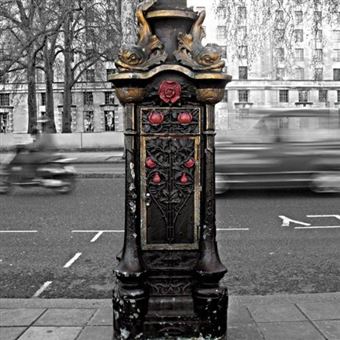 Moneen-The World I Want To Leave Behi - 1