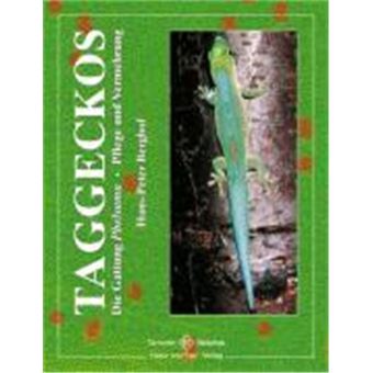 Taggeckos - 1