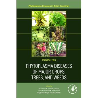 Phytoplasma Diseases Of Major Crops Trees And Weeds By Elsevier Science & Technology - 1