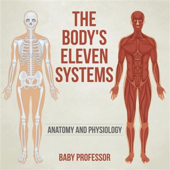The Body's Eleven Systems Anatomy And Physiology - 1