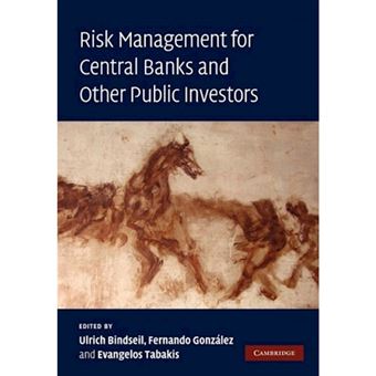 Risk Management for Central Banks and Other Public Investors - Paperback - 2011 - 1