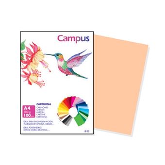 Cartolina 180/A4 Campus Carne | Pack com 100 Folhas - 1