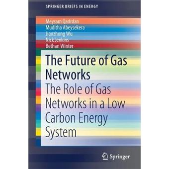 The Future Of Gas Networks The Role Of Gas Networks In A Low Carbon Energy System Springerbriefs In Energy - 1