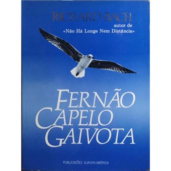 Fernão capelo gaivota. - 1