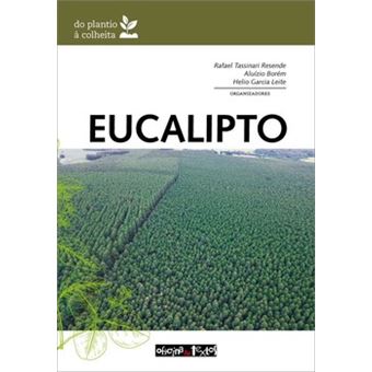 Eucalipto - 1