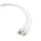 cabo de rede Gembird PP12-0.5M/W 0,5 m Cat5e U/UTP (UTP) Branco_0