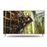 Smart TV Panasonic 4K UHD TX-65GXW904 65" Prateado_0