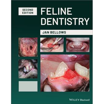 Feline Dentistry - 1
