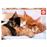 Puzzle Gatitos 500 Peças_0