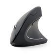 Rato Wireless Gembird MUSW-ERGO-01 | 1600 DPI | Preto