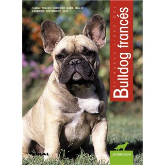 Bulldog Francés - 1
