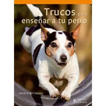 Trucos para ensenar a tu perro / Tricks to Teach Your Dog - 1