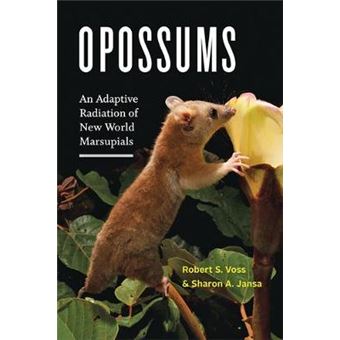 Opossums - An Adaptive Radiation Of New World Marsupials - 1