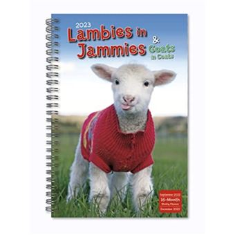 Lambies In Jammies Goats In Coats - 1
