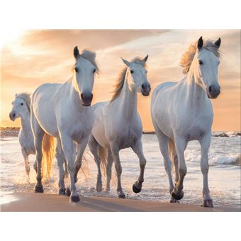 Quadro de Pintar ProTsvetnoy por Diamantes Trio | Tela 40 x 50 cm - 1