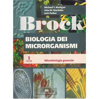 Brock | Michael T. Madigan - 1