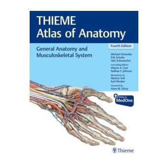 General Anatomy And Musculoskeletal System Thieme Atlas Of Anatomy ...