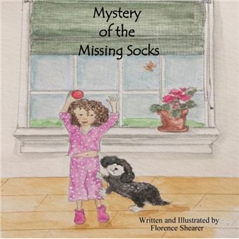 Mystery Of The Missing Socks - 1
