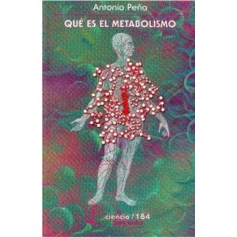 Qué Es El Metabolismo - 1