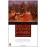 Stones for Ibarra (Contemporary American Fiction)_0