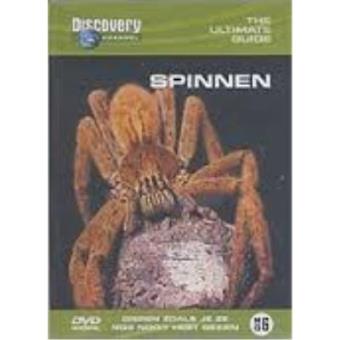 Spinnen Ultimate Guide - 1