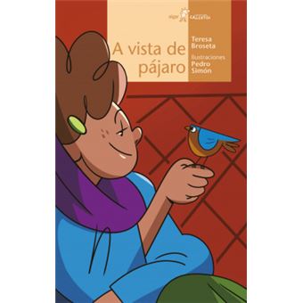 A Vista De Pájaro - 1