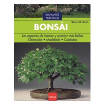 Bonsái - 1