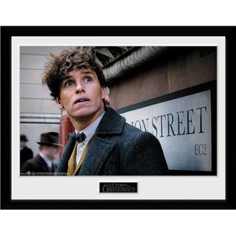Poster emoldurado GB Posters Monstros Fantásticos: Os Crimes de Grindelwald Newt Scamander 30x40cm - 1