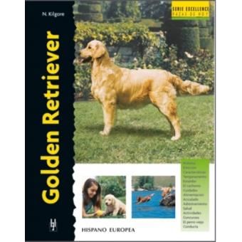 Golden Retriever - 1