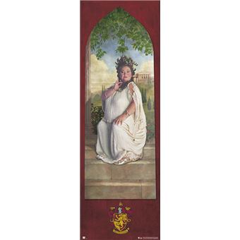 Poster Porta Harry Potter Gryffindor Password - 1