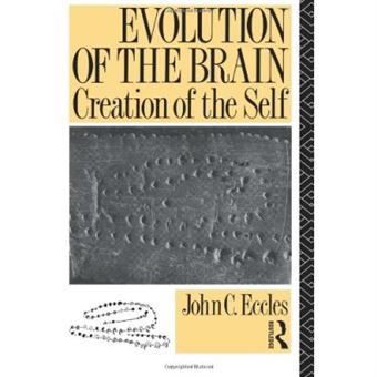 Evolution Of The Brain - 1