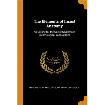 the Elements Of Insect Anatomy Paperback -