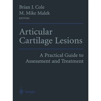 Articular Cartilage Lesions - A Practical Guide to Assessment and Treatment - Paperback - 2013 - 1