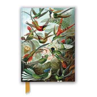 Ernst Haeckel Hummingbirds Foiled Journal By Flame Tree Publishing - 1