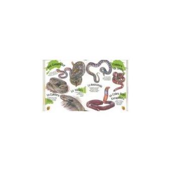 Mi primera enciclopedia de los animales - 1