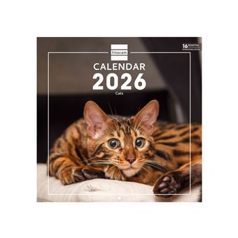 Calendário de Parede 2026 Finocam | 30x30cm | Cats - 1