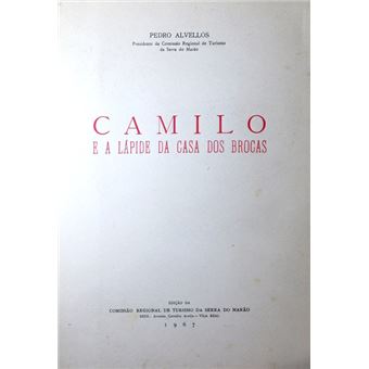 Camilo e a lápide da casa dos brocas. - 1