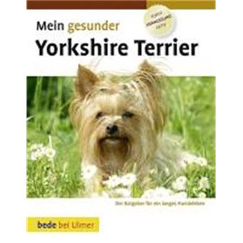 Mein Gesunder Yorkshire Terrier - 1