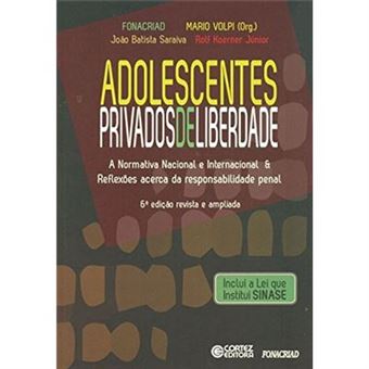Adolescentes Privados De Liberdade. A Normativa Nacional E Internacional & Reflexões Acerca Da Responsabilidade Penal - 1