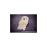 Peluche Harry Potter Hedwig - 30 cm_0