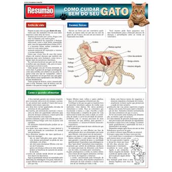 Como Cuidar Bem do Seu Gato - 1