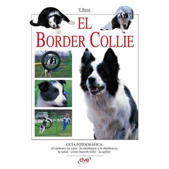 El Border Collie - 1
