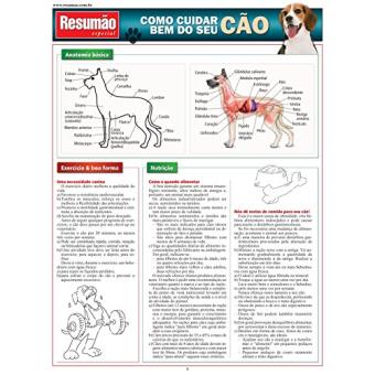 Como Cuidar Bem do Seu Cão - 1