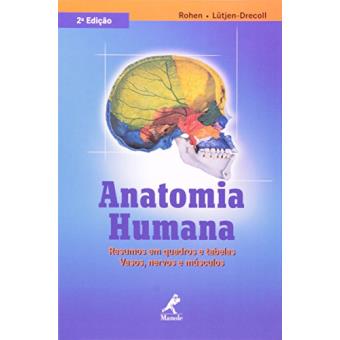 Anatomia Humana. Resumos Em Quadros E Tabelas. Vasos, Nervos E Músculos - 1