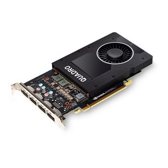 Placa de Vídeo Fujitsu NVIDIA Quadro P2000 | Preto - 1