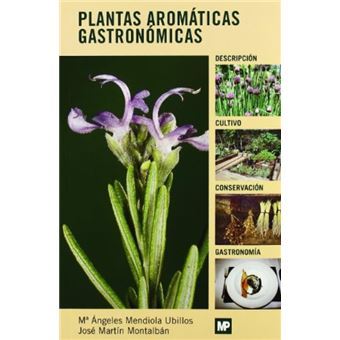 Plantas aromáticas gastronómicas - 1