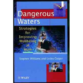 Dangerous Waters - Strategies for Improving Wellbeing at Work - Paperback - 1999 - 1